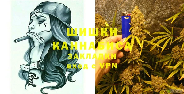 крисы Белокуриха