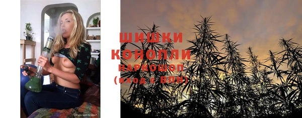 крисы Белокуриха