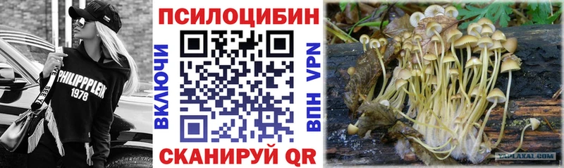 Галлюциногенные грибы мухоморы  блэк спрут маркетплейс  Кушва  купить  цена 