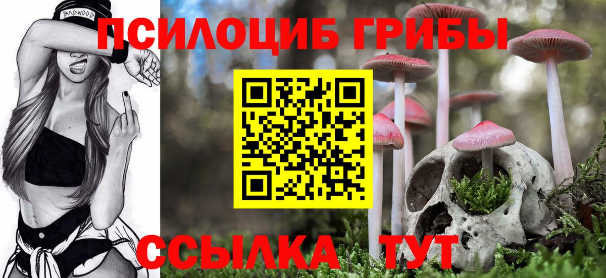 Галлюциногенные грибы мицелий Кушва