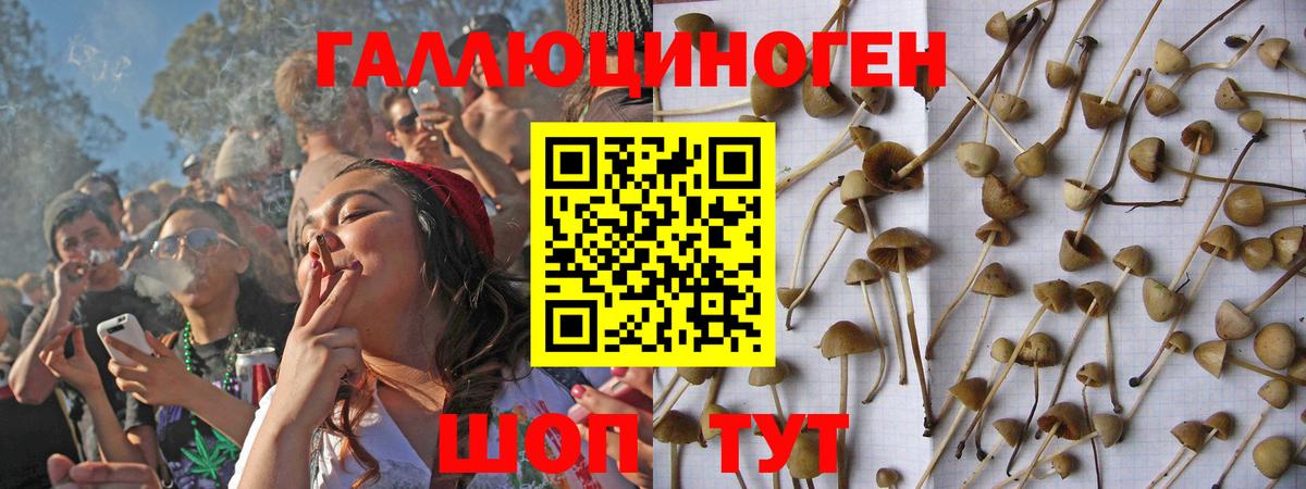 Псилоцибиновые грибы мухоморы  Вход с VPN  Псилоцибиновые грибы MAGIC MUSHROOMS  Кушва 